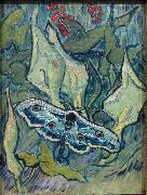Vincent Van Gogh, Butterflies